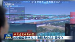 新思惟引领新征程丨加速扶植数字村落 推进农业